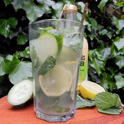 Foto bij het recept Komkommer-munt-gember mocktail